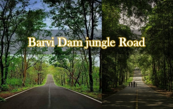 Barvi Dam Jungle Road
